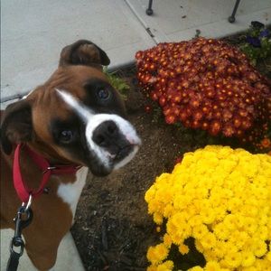 Meet your Posher, Connie